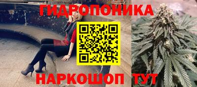 ГАЛЛЮЦИНОГЕННЫЕ ГРИБЫ Тверь