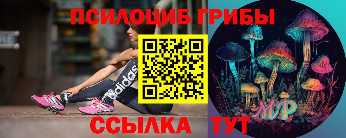 МЕФ Людиново
