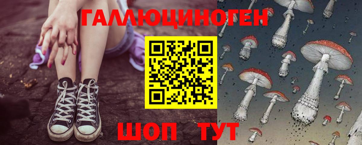 закладка  Галлюциногенные грибы MAGIC MUSHROOMS  Людиново  Вход с VPN  Псилоцибиновые грибы прущие грибы 